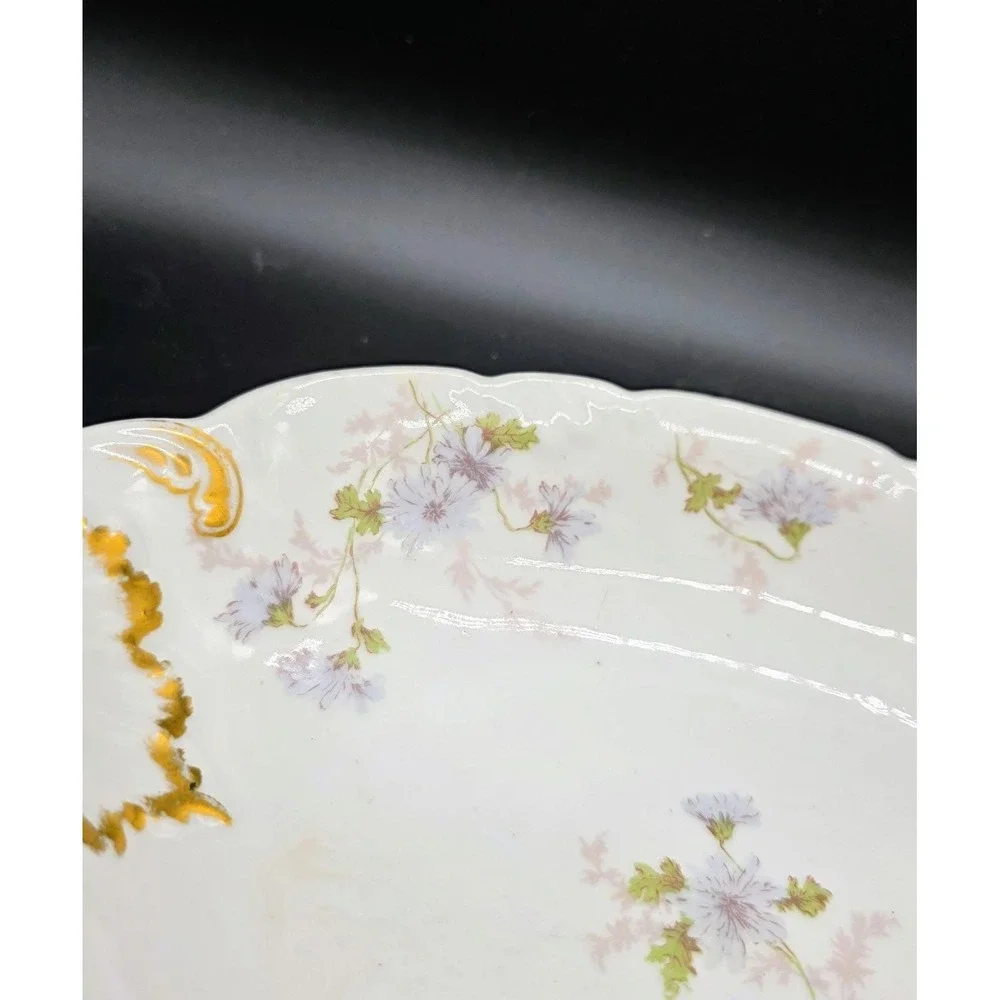 Vintage C.H Field Haviland Limoges Hand Painted Oval Serving Bowl 10
